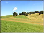foto Alpe di Siusi